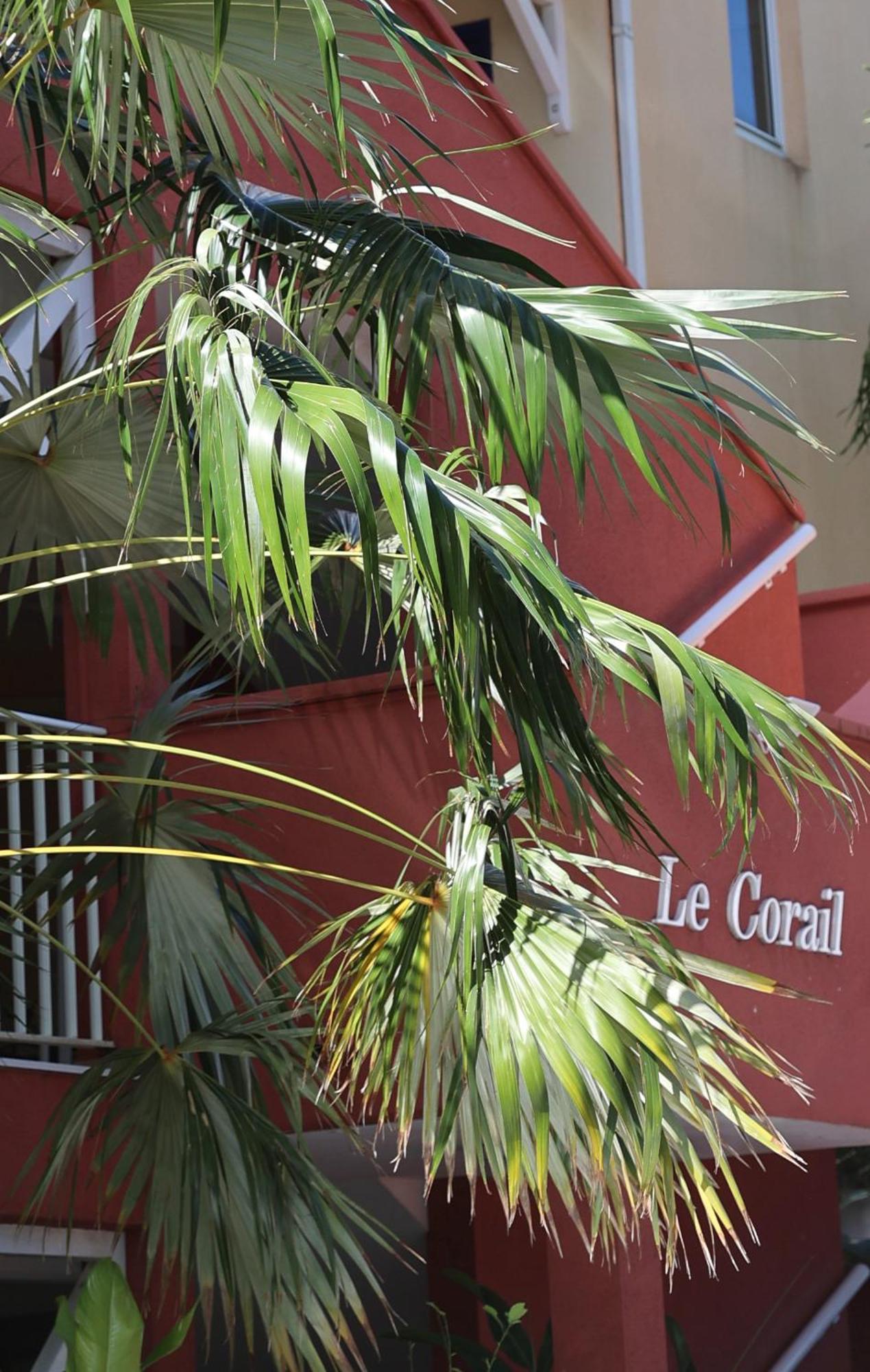 Le Coco Apartment Le Gosier  Exterior foto